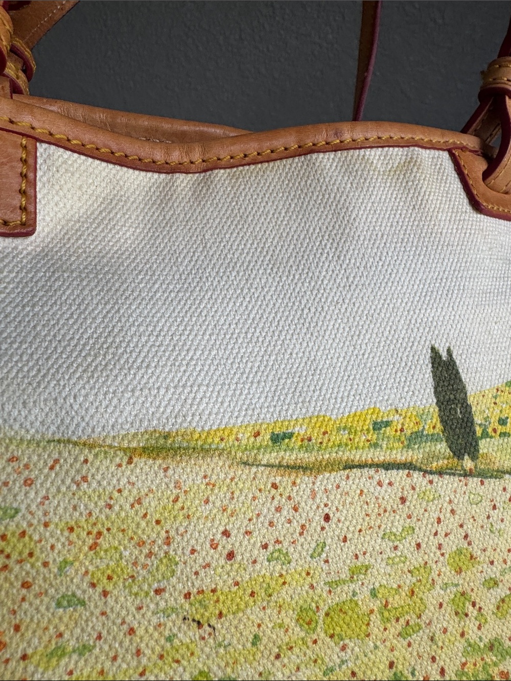 Dooney & Bourke 🌻 fields canvas suede bottom tote - Picture 7 of 15